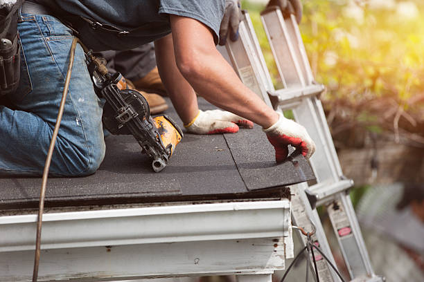 Best Shingle Roofing Installation  in Conesus Lake, NY